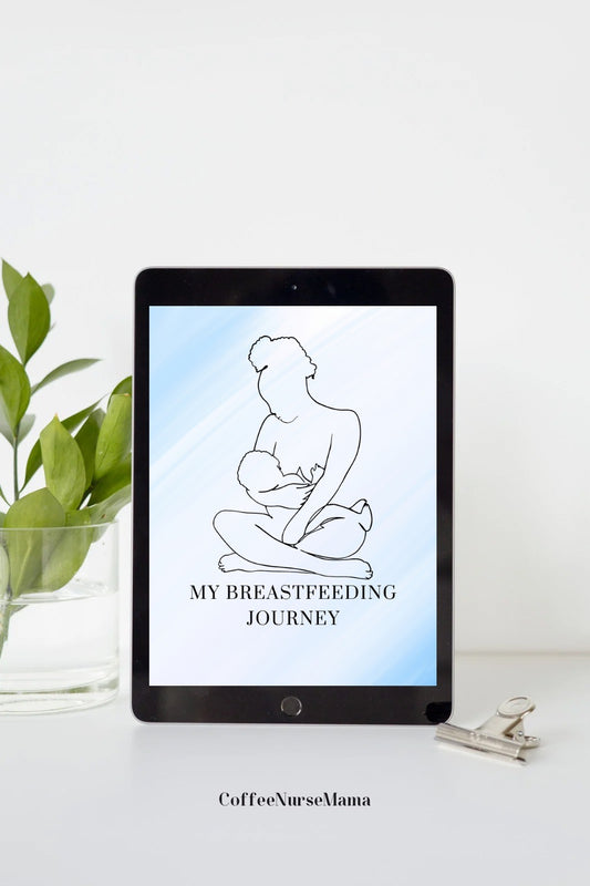 Breastfeeding Journal Sky Design